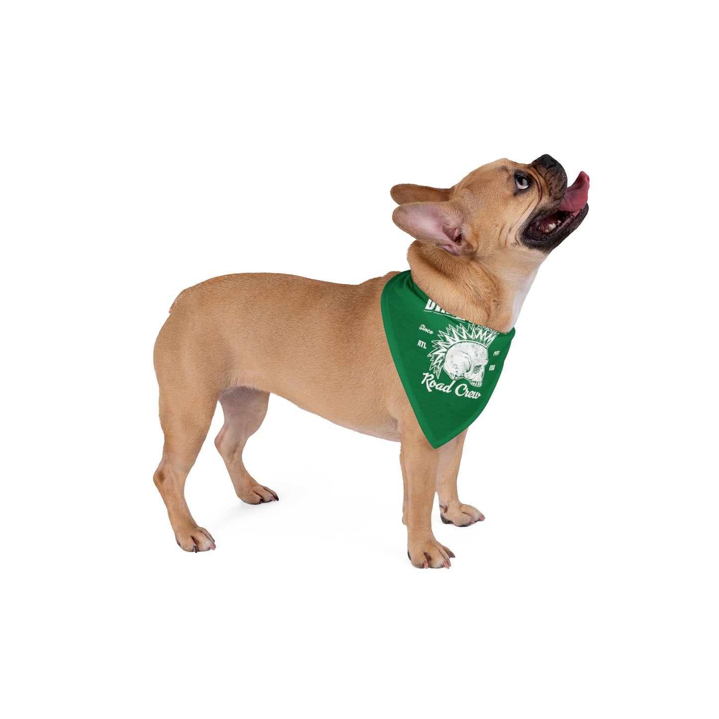 DD Road Crew Pet Bandana (Green)