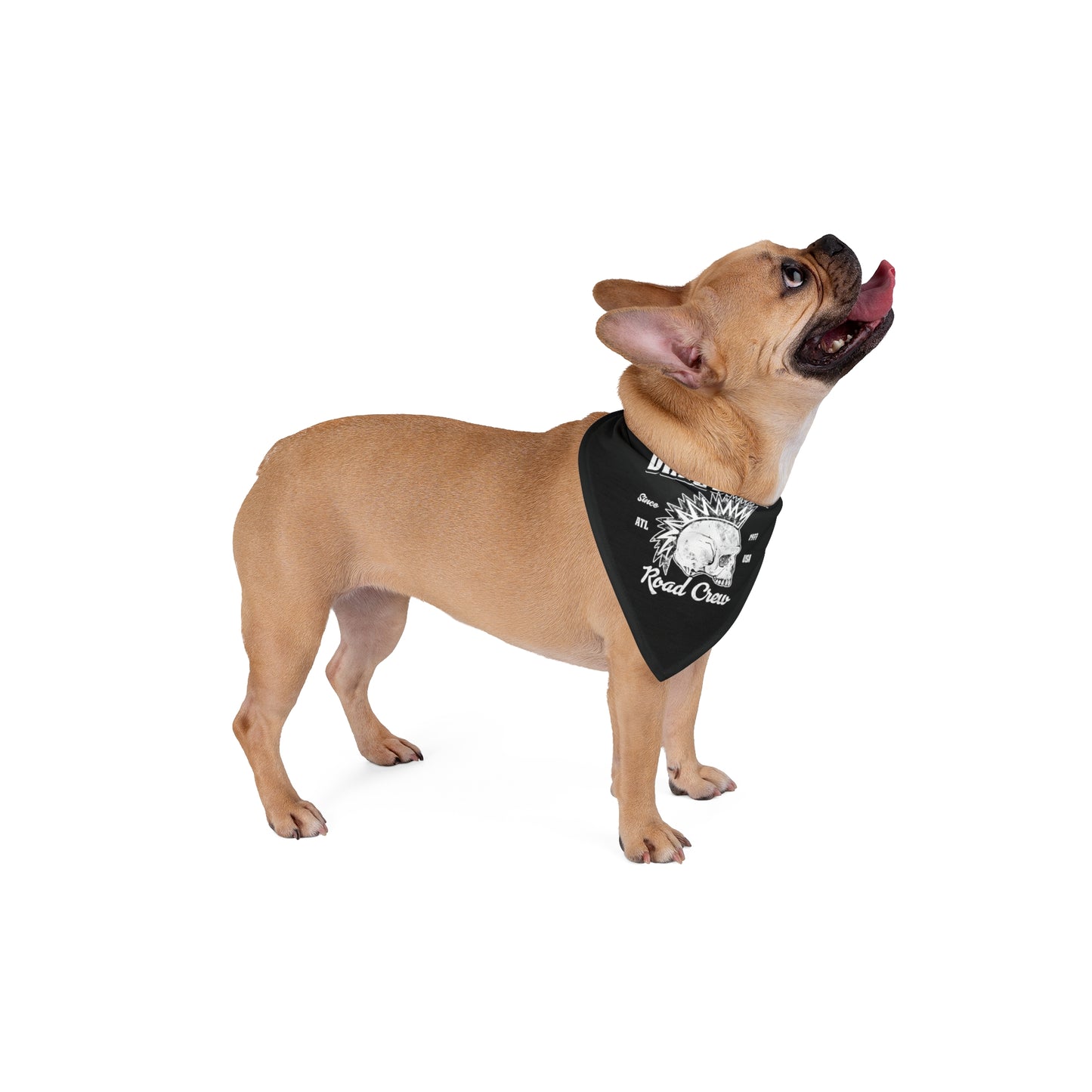 DD Road Crew Pet Bandana (Black)